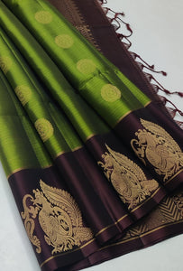 Classic  Spring Green & Chocolate Brown Elegance Handloom Soft Silk Saree SS25535