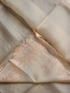 Pastel Beige & Pale Rose Embriodery Cutwork Scallop Organza Silk Saree SS10951