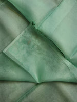 Load image into Gallery viewer, Pastel Green Embriodery Cutwork Scallop Organza Silk Saree SS10954
