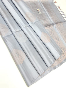 Silver Grey Double Warp Elegance Kanchipuram Handloom Soft Silk Saree SS17142
